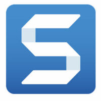 Snagit Legacy Ny licens (1 år, 1-4 brugere)