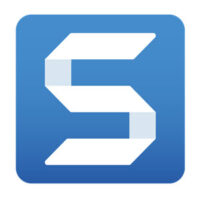 Snagit Business Government (1 år, 100-249 brugere)