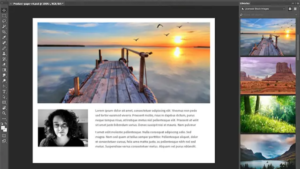 Adobe Stock: Abonnementer, creditpakker og EDU-licenser forklaret