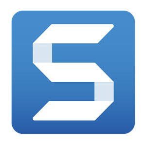 Snagit Legacy Ny licens (1 år, 1-4 brugere)